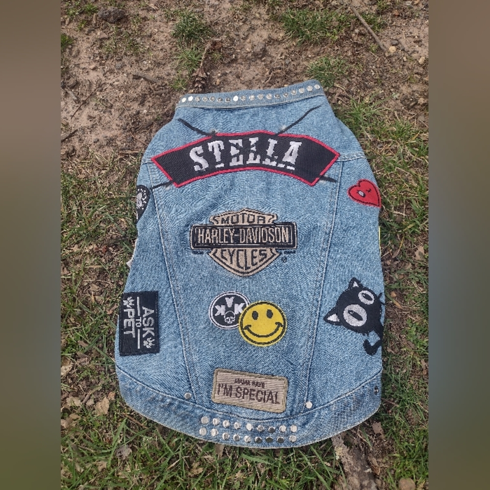 Harley Davidson custom (ex-girlfriend) vest